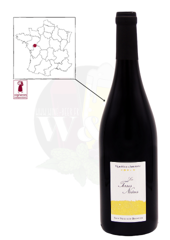 Bottle of AOC Saint Nicolas de Bourgueil - Vignoble de la Jarnoterie Terres noires. It is a deep red wine, with good persistence, delicate and fruity.