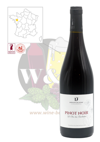 Bottle of IGP Val de Loire - Domaine Delaunay pinot noir. It is a light red wine, finely wooded with aromas of cherries, raspberries...