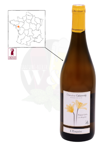 Bottle of white wine IGP Val de Loire Pinot Gris - Domaine Delaunay. It is a semi-dry white wine, balanced with touches of white fruit.