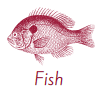 fish-1