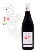 IGP Val de Loire - Domaine Delaunay pinot noir - Red wine