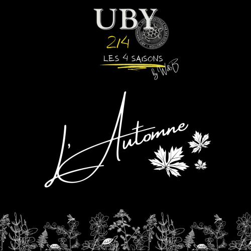 UBY Oak - L'AUTOMNE